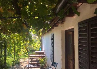 Taki Pince Borpince Balatonszemes