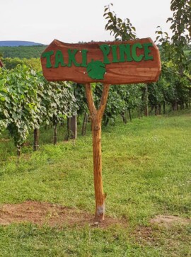 Taki Pince Borpince Balatonszemes