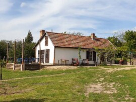 Taki Pince Borpince Balatonszemes