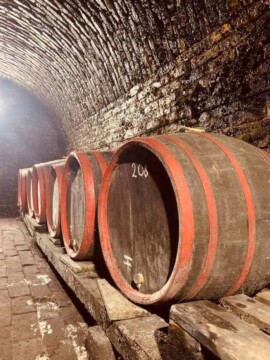 Taki Pince Borpince Balatonszemes