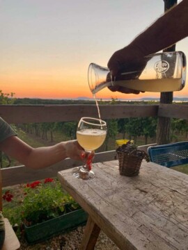 Taki Pince Borpince Balatonszemes