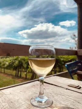 Taki Pince Borpince Balatonszemes